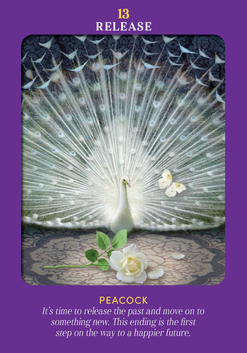 Animal Guides Tarot - image 5