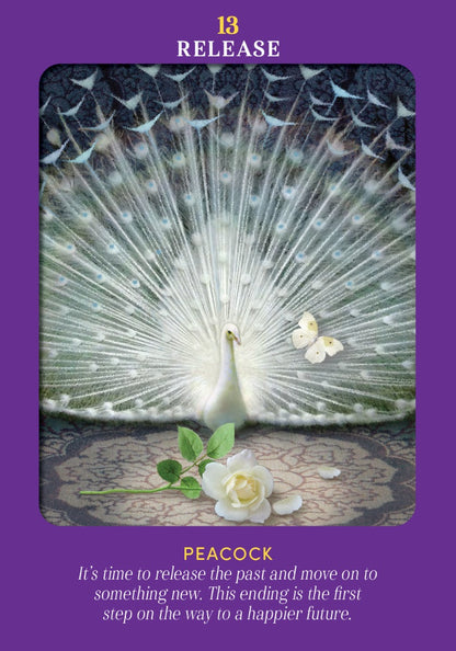 Animal Guides Tarot - image 5