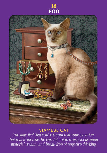 Animal Guides Tarot - image 4