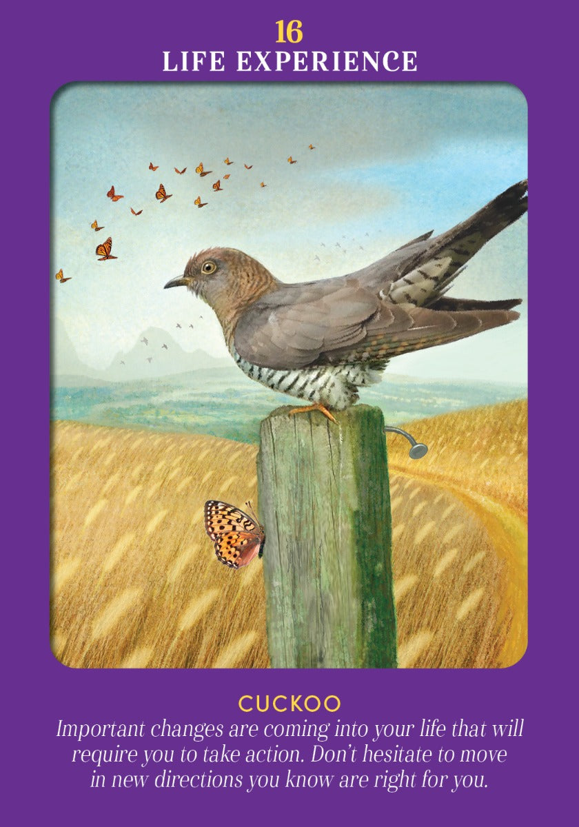 Animal Guides Tarot - image 3
