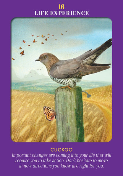 Animal Guides Tarot - image 3
