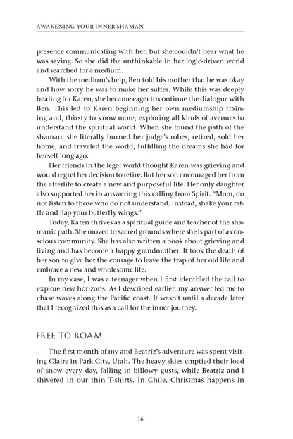 Awakening Your Inner Shaman (Updated Edition) - image 7