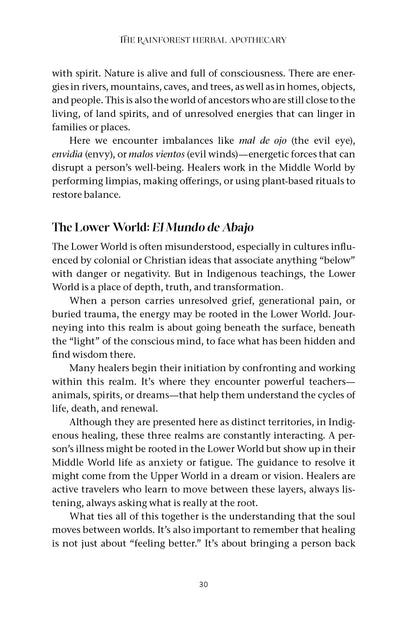 The Rainforest Herbal Apothecary - image 8