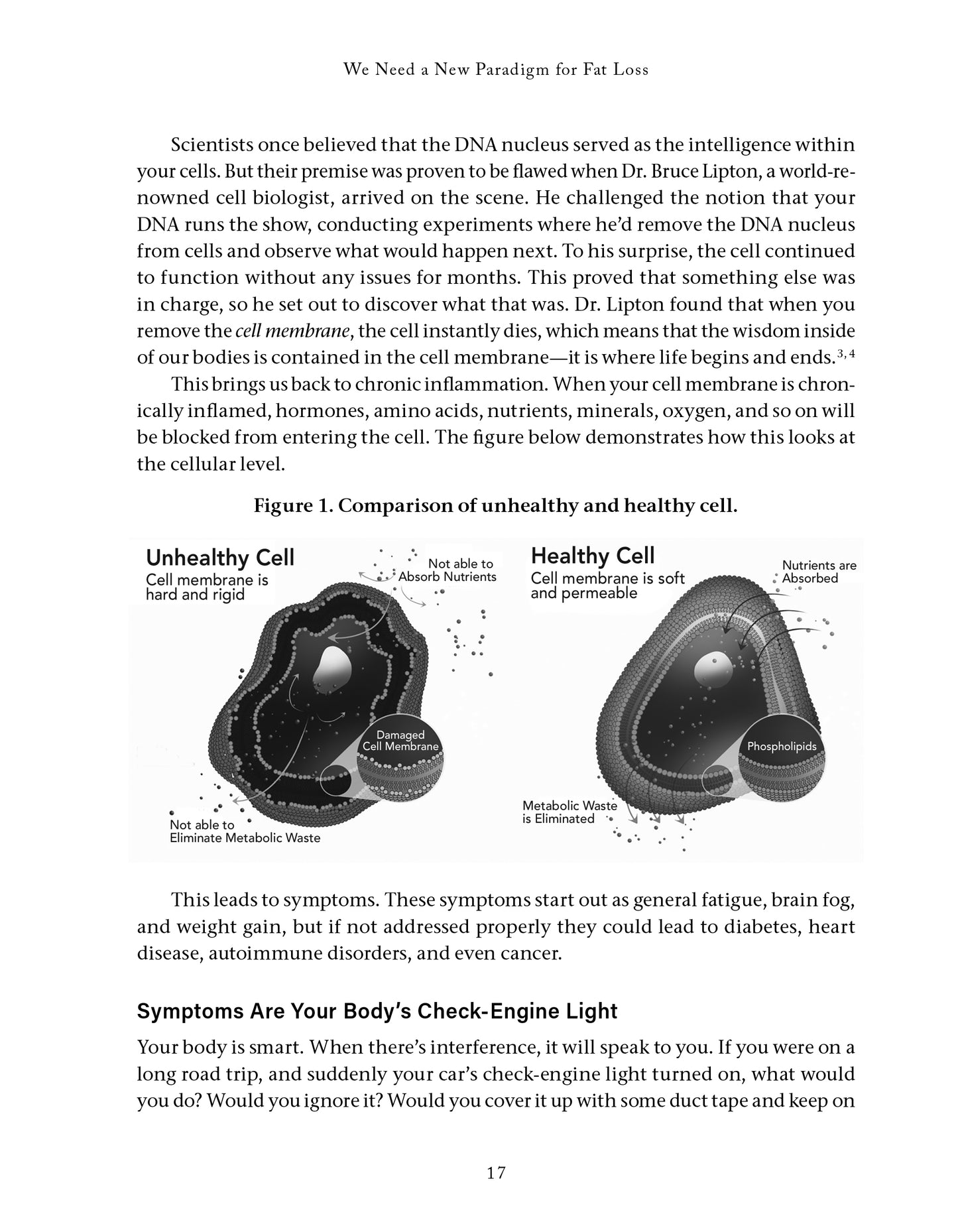 Metabolic Freedom - image 8
