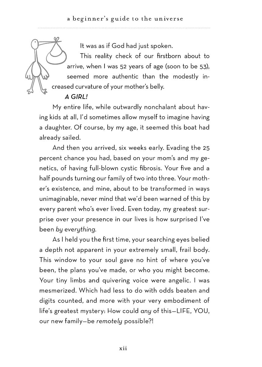 A Beginner's Guide to the Universe - image 0