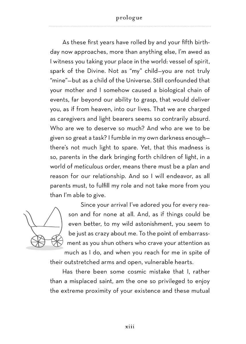 A Beginner's Guide to the Universe - image 0