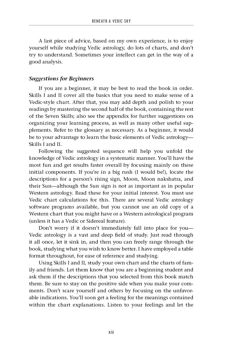 Beneath a Vedic Sky - image 10