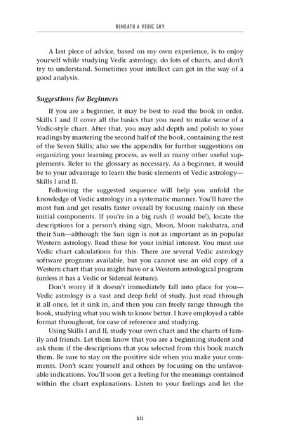 Beneath a Vedic Sky - image 10