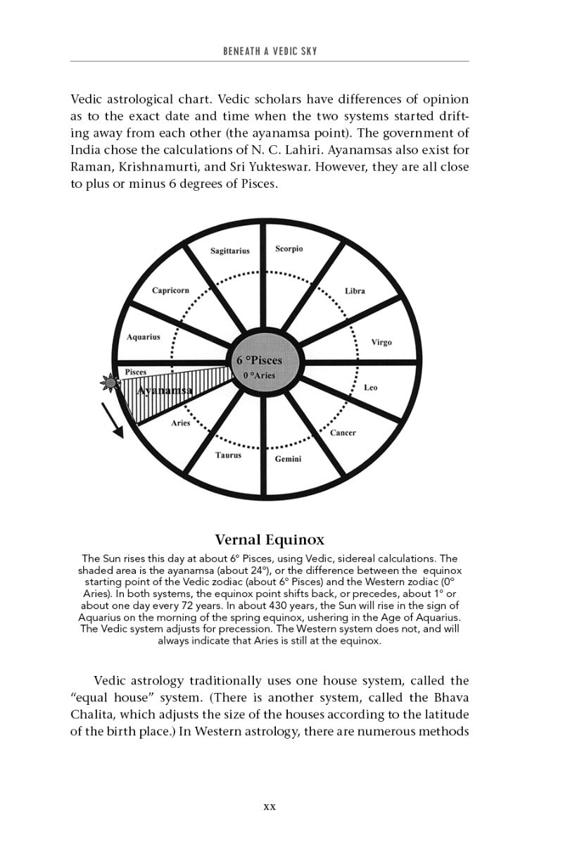 Beneath a Vedic Sky - image 2