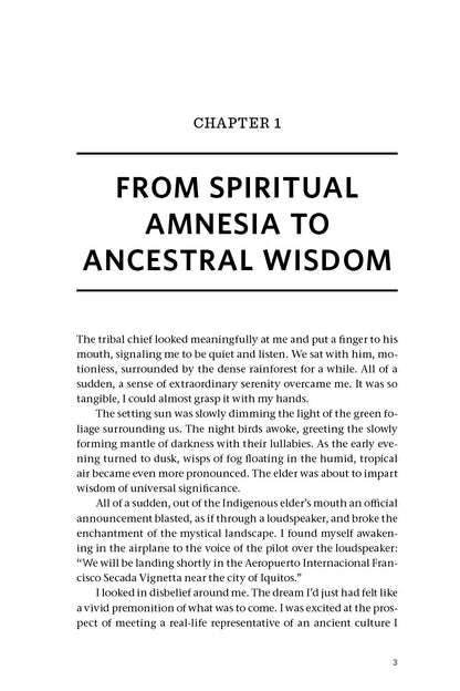 Beyond Ayahuasca - image 4