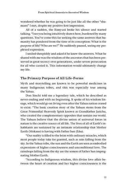 Beyond Ayahuasca - image 2