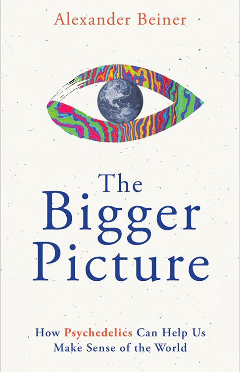 The Bigger Picture - image 1