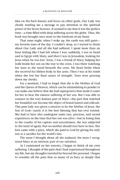 A Blessing in Disguise - image 3