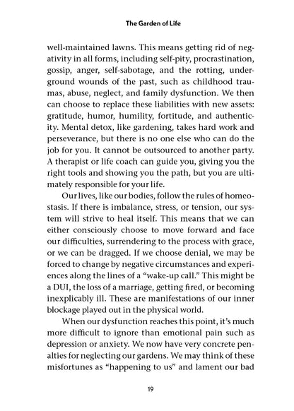 Mental Detox - image 6
