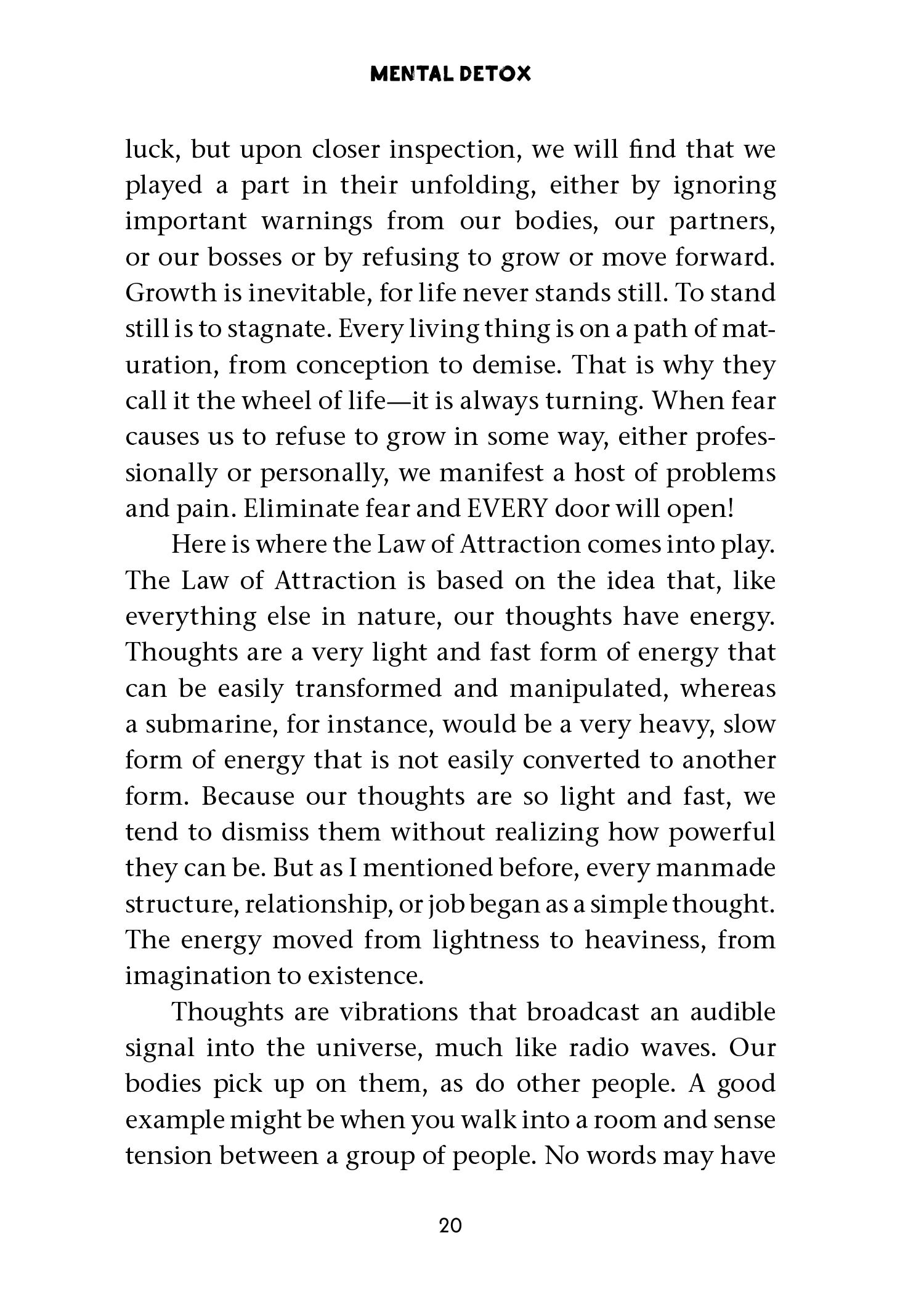 Mental Detox - image 4
