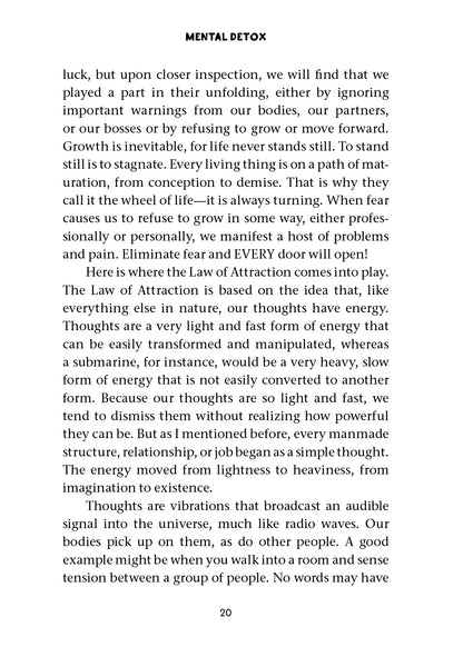 Mental Detox - image 4