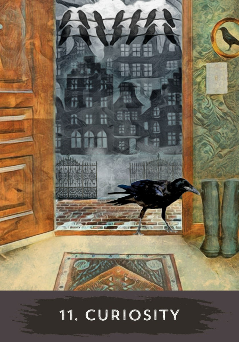 Urban Crow Oracle - image 8
