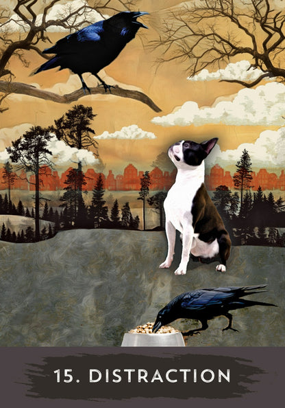 Urban Crow Oracle - image 4