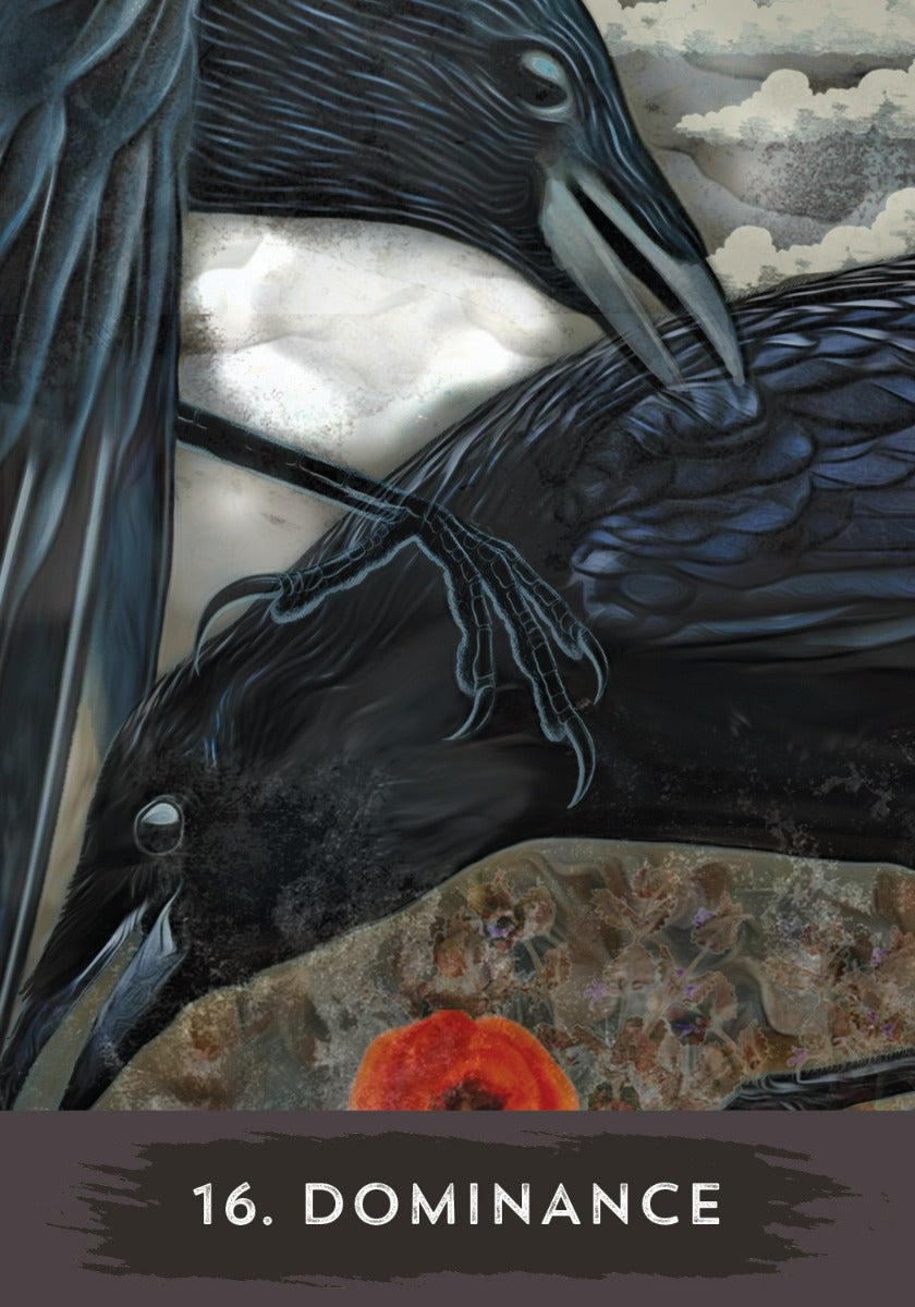 Urban Crow Oracle - image 3