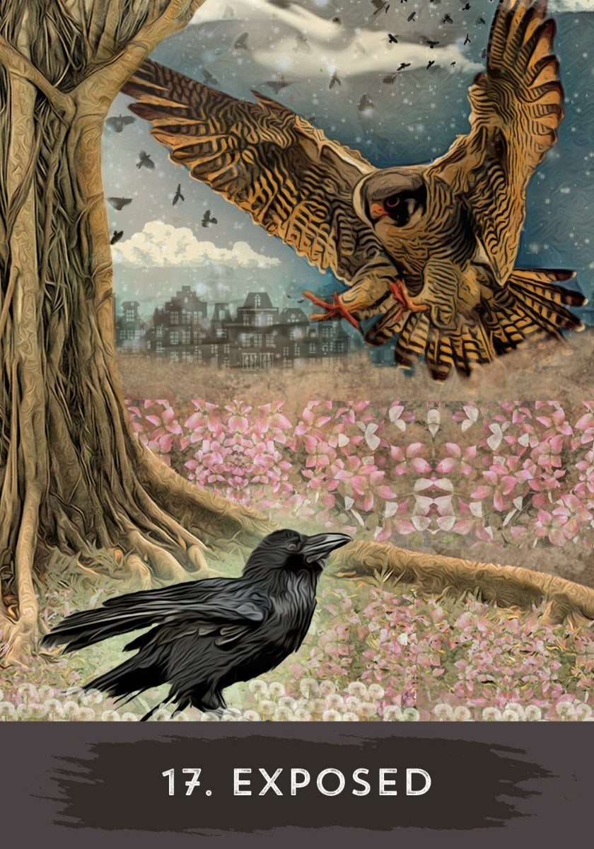 Urban Crow Oracle - image 2