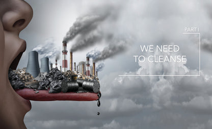 Medical Medium Cleanse to Heal - image 2