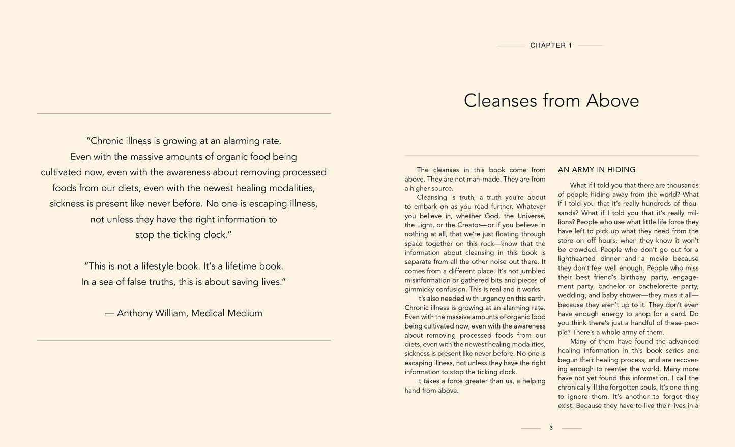 Medical Medium Cleanse to Heal - image 3