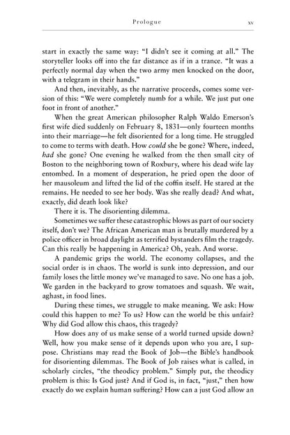 The Dharma in Difficult Times - image 6