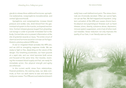 Eliminating Stress, Finding Inner Peace - image 8