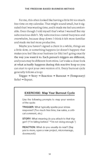 The Freedom-Based Business Method - image 6
