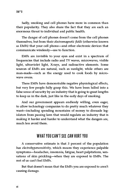 EMF*D - image 5