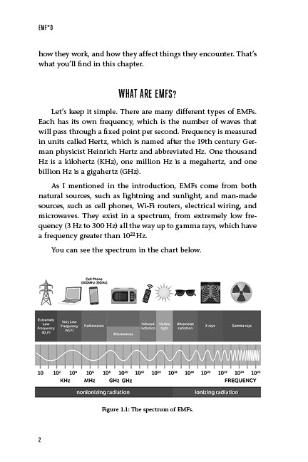EMF*D - image 11