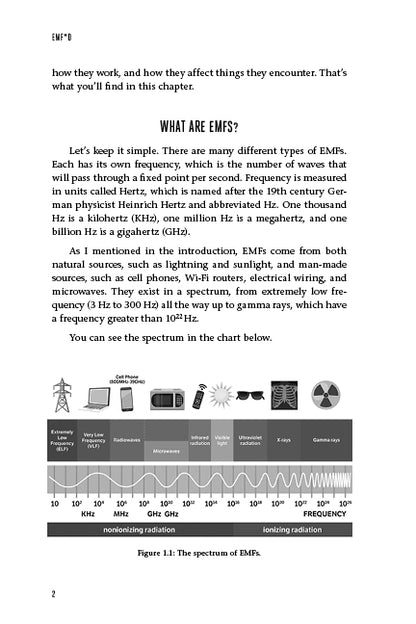 EMF*D - image 11