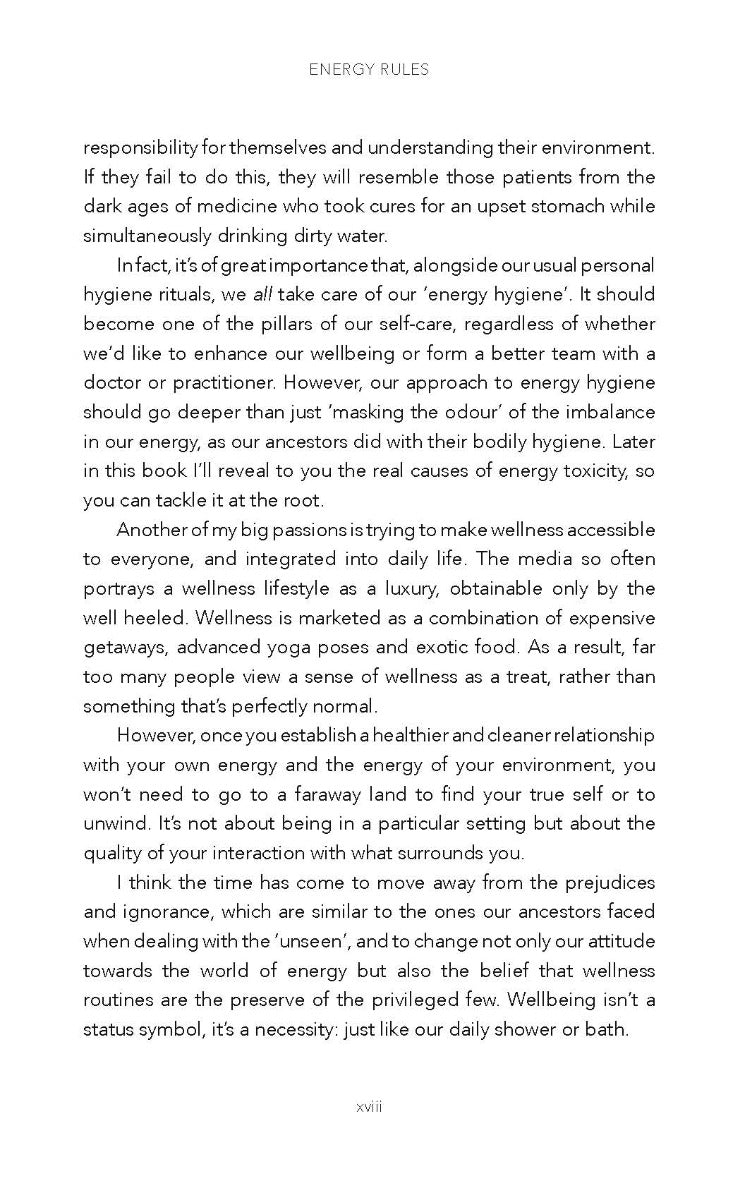Energy Rules - image 4