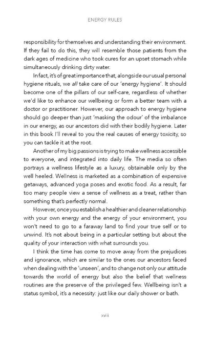 Energy Rules - image 4