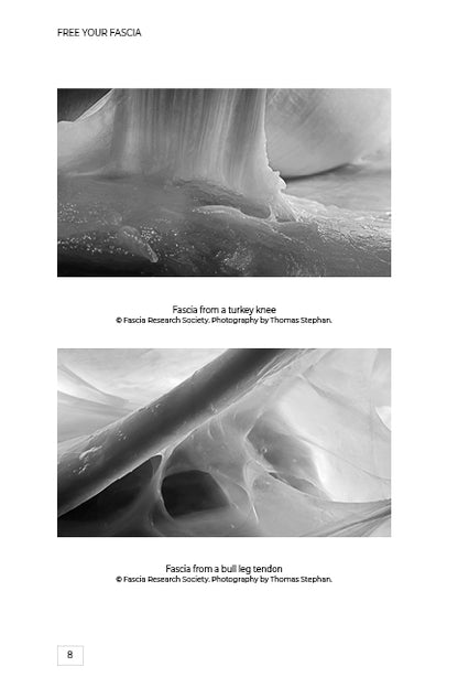 Free Your Fascia - image 12
