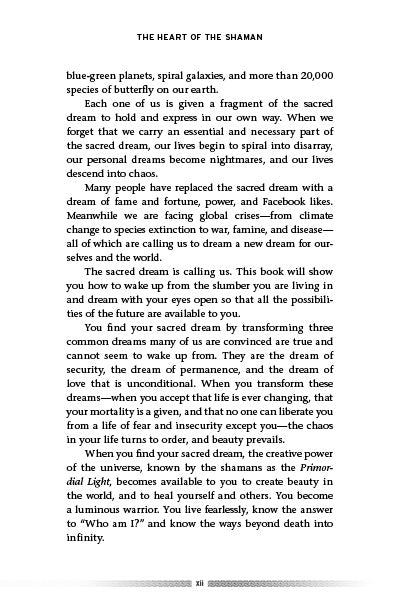 The Heart of the Shaman - image 5
