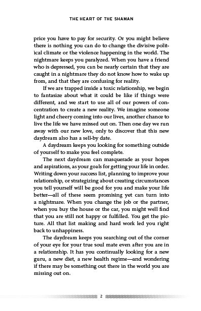 The Heart of the Shaman - image 7