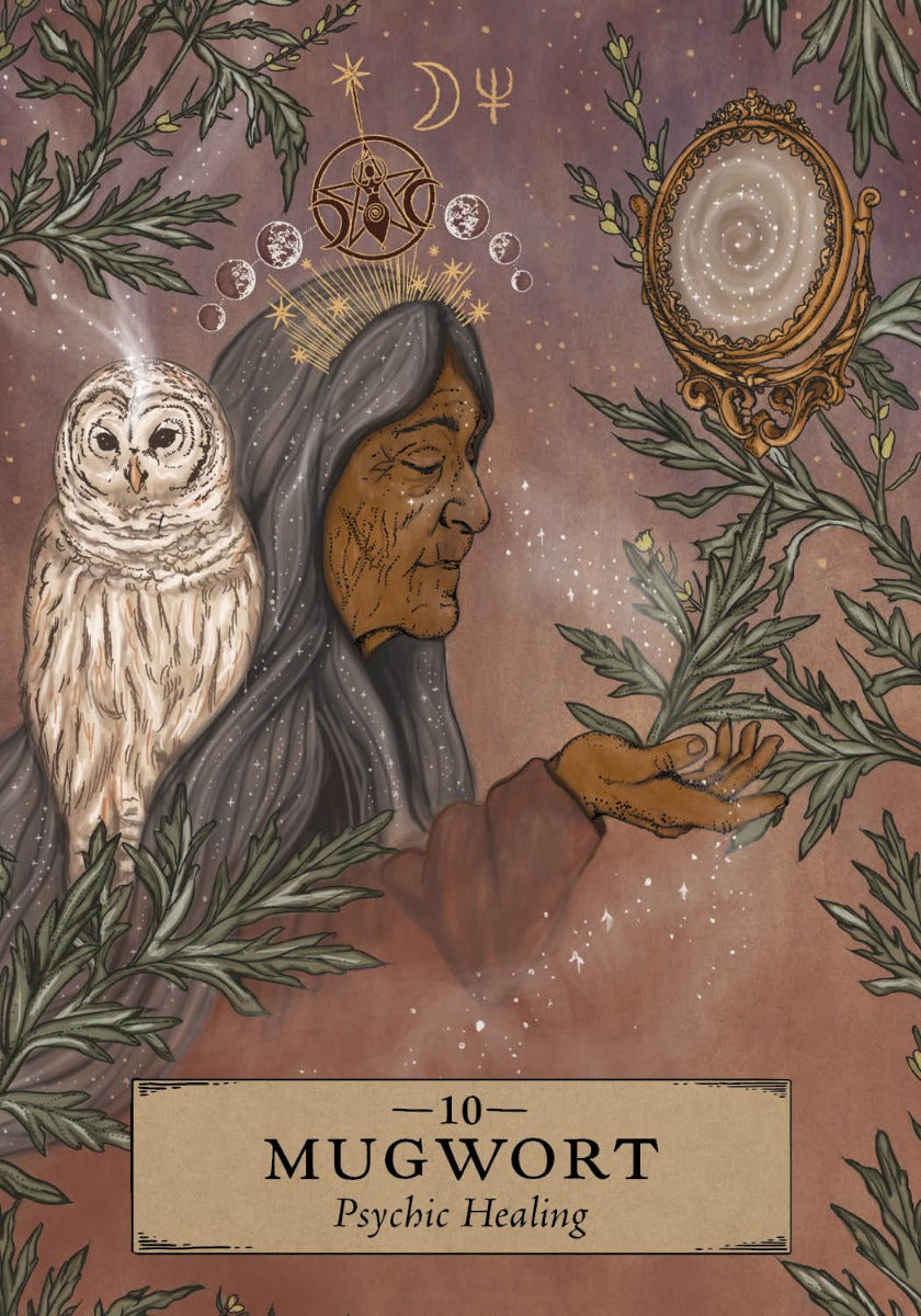 The Herbal Astrology Oracle - image 11