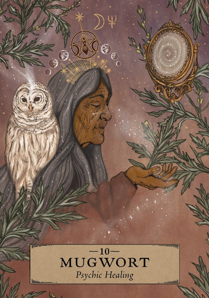 The Herbal Astrology Oracle - image 11