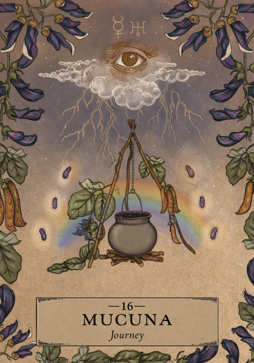 The Herbal Astrology Oracle - image 5