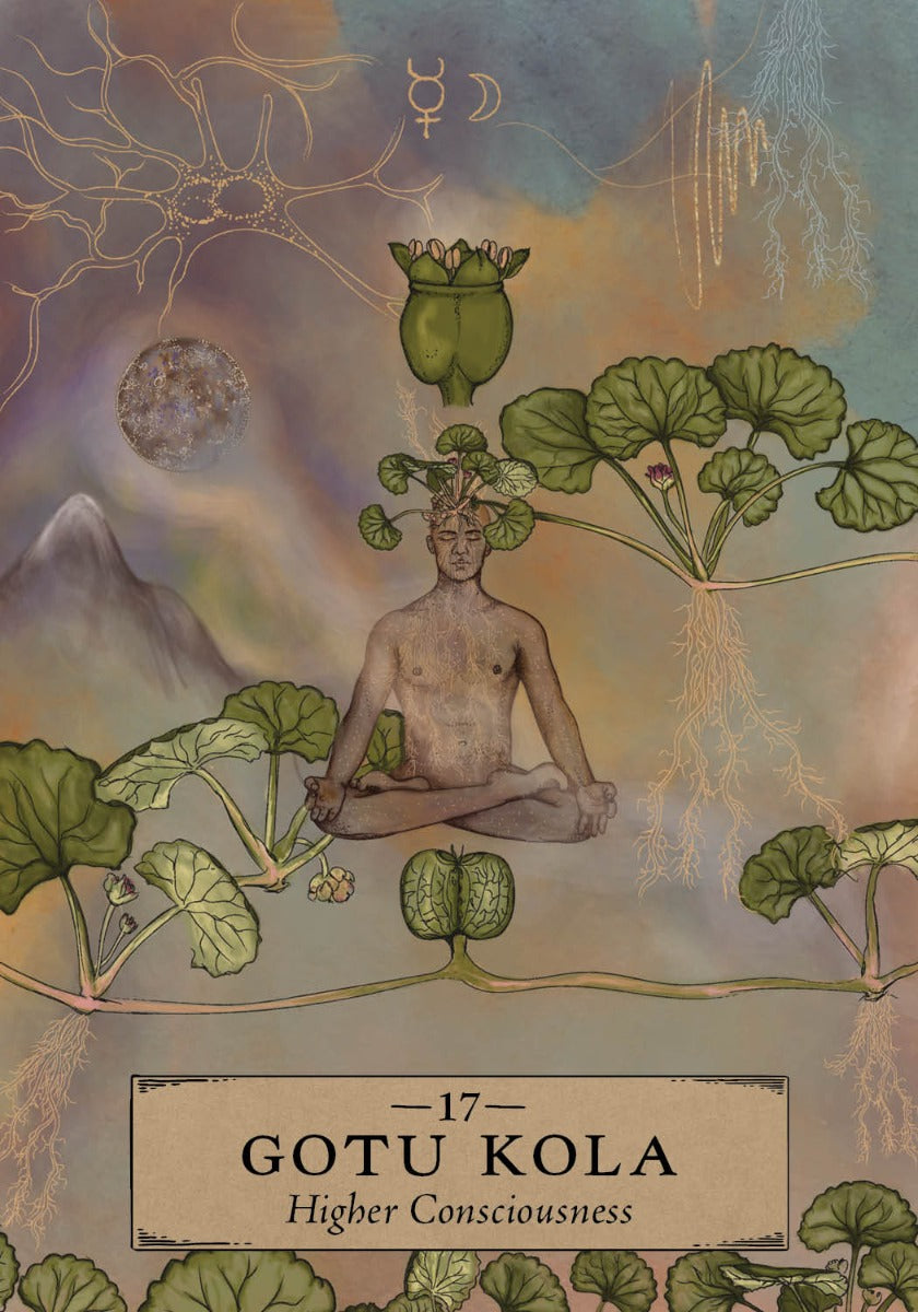 The Herbal Astrology Oracle - image 4