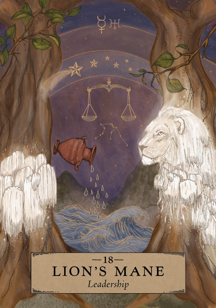 The Herbal Astrology Oracle - image 3