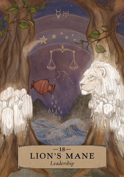 The Herbal Astrology Oracle - image 3