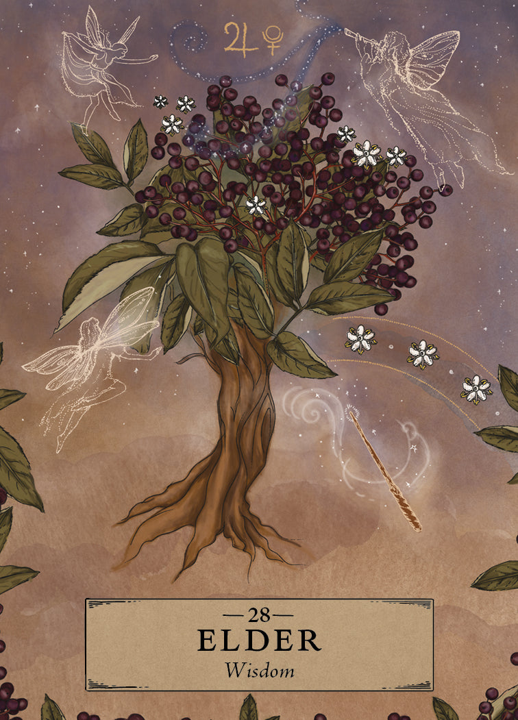 The Herbal Astrology Pocket Oracle - image 1