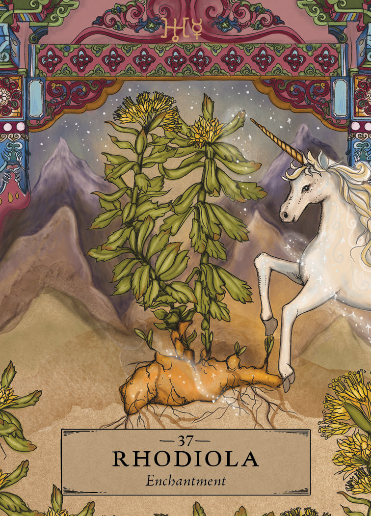 The Herbal Astrology Pocket Oracle - image 4