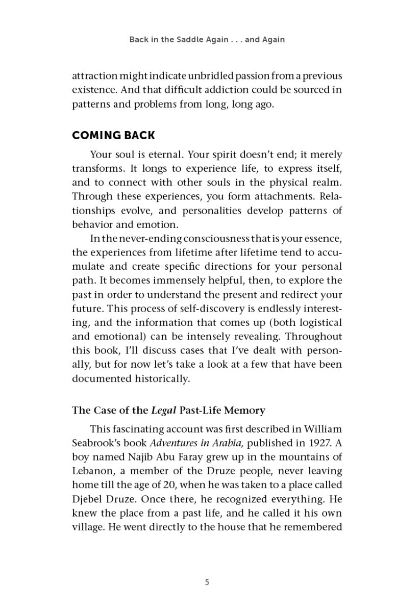 The Hidden Power of Your Past Lives - image 4