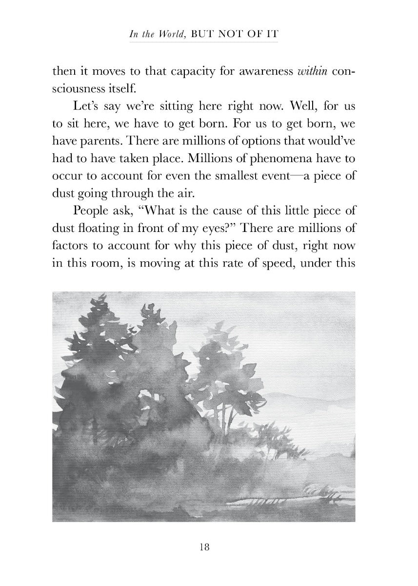 In the World, But Not of It - image 3