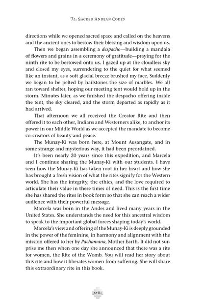 The Sacred Andean Codes - image 8