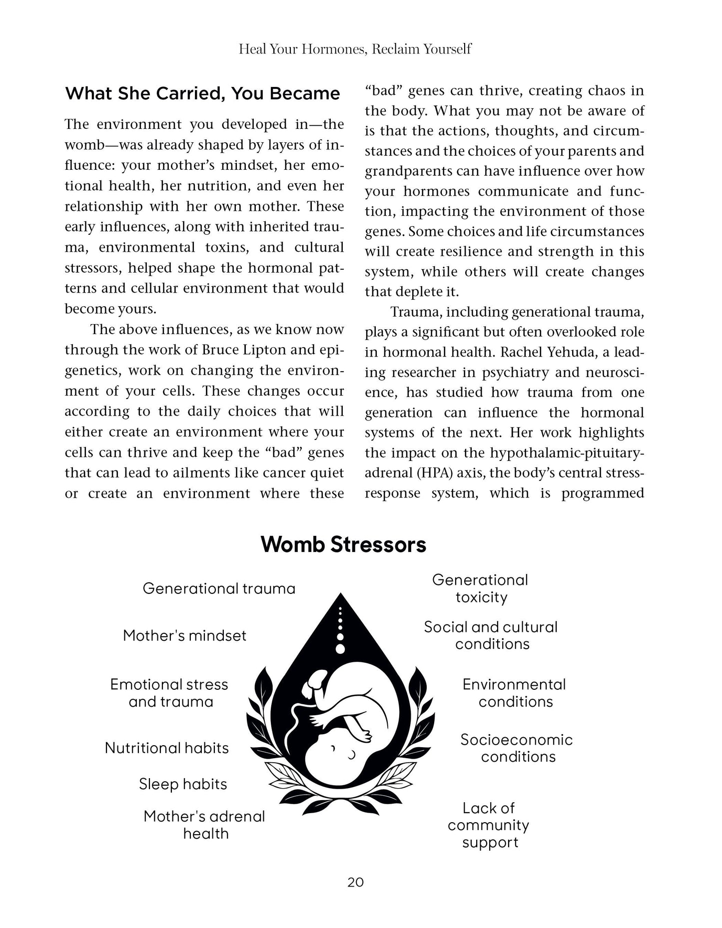 Heal Your Hormones, Reclaim Yourself - image 7