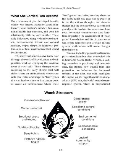 Heal Your Hormones, Reclaim Yourself - image 7